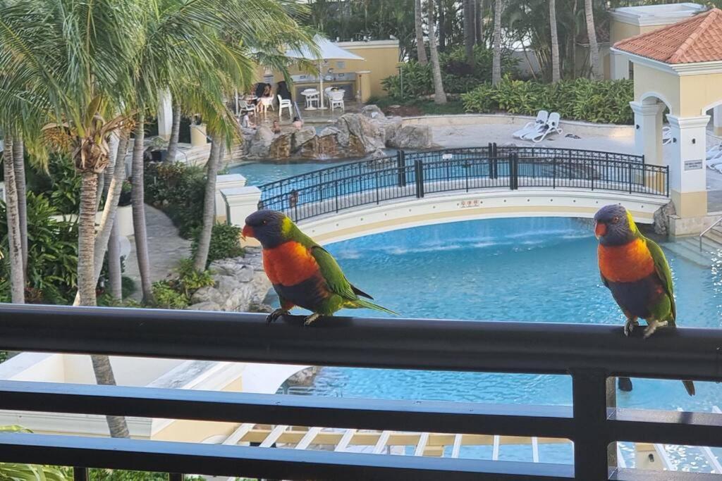 Apartment Perfect 2bd & 2bth